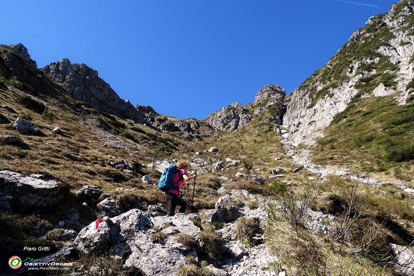 12 Salendo il canalone per il Col dei Brassamonti.JPG